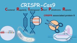 CRISPR Technology