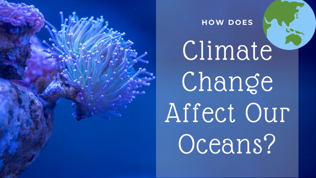 The Impact of Climate Change on Ocean Ecosystems
