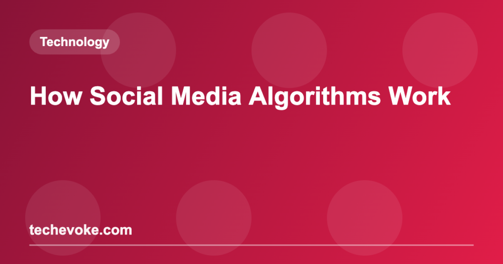 How Social Media Algorithms Work